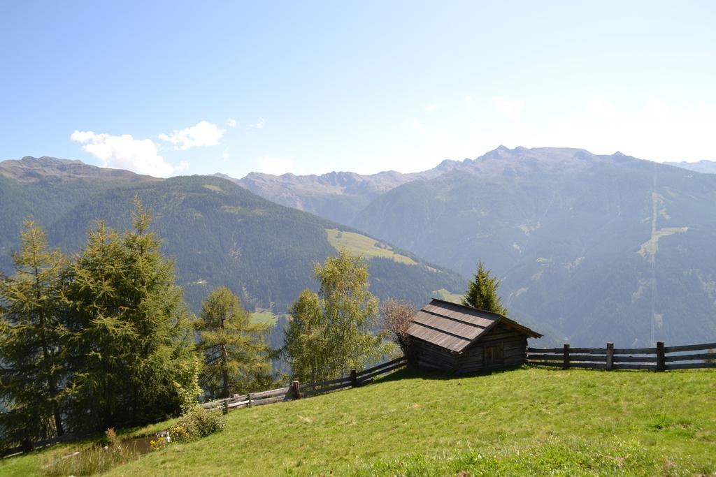 Pension Pichlerhof Stall Bagian luar foto